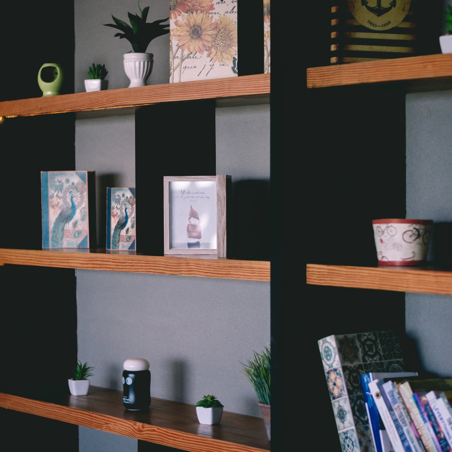 Display Units