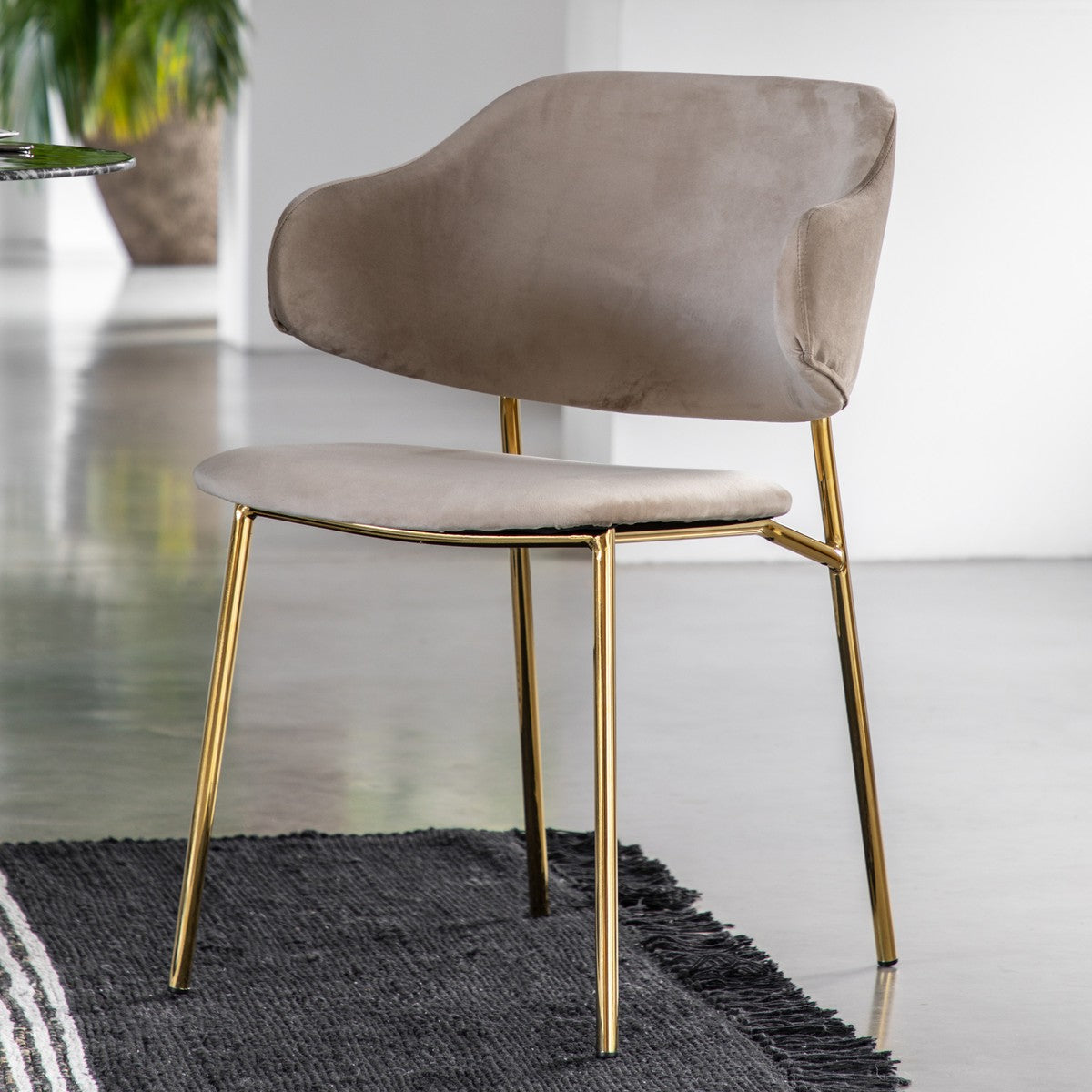 Lincoln Dining Chair lifestyle