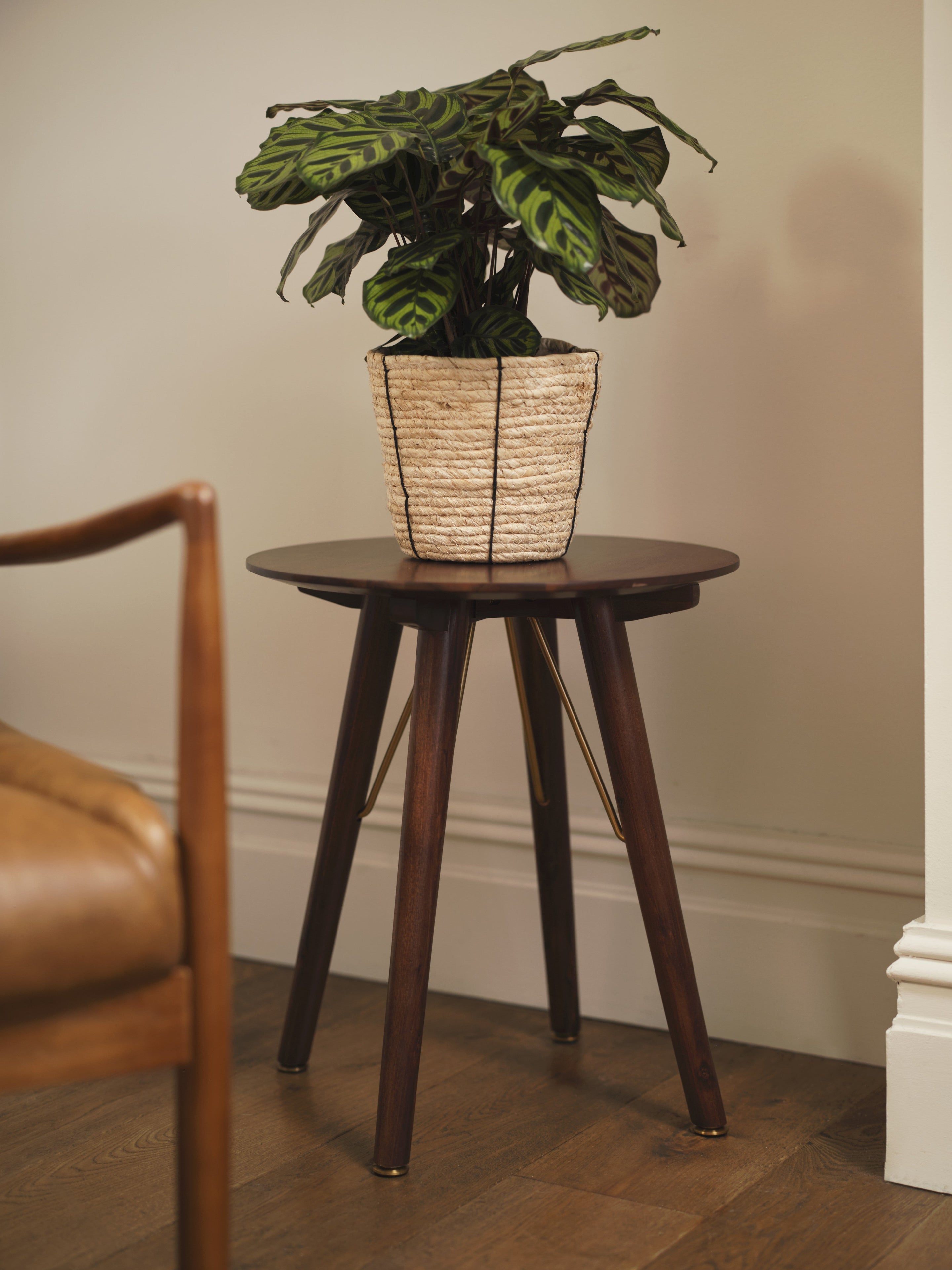 Charles Armchair Real Leather Maple lifestyle