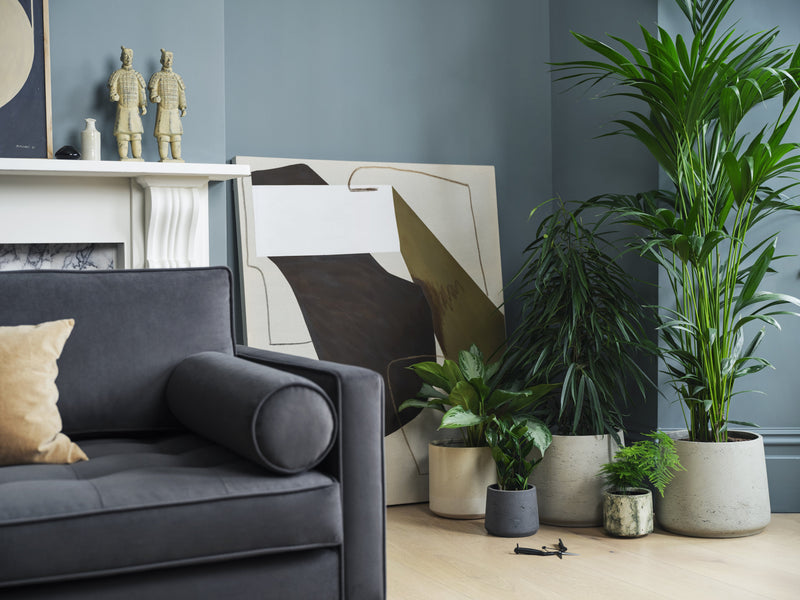 Mies 3-Seater Sofa Velvet Charcoal lifestyle